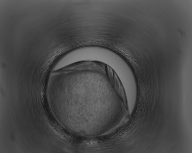 X0000090880687200708031031