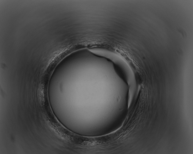 X0000090880688200708031031