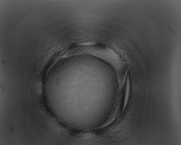 X0000090880689200708031031