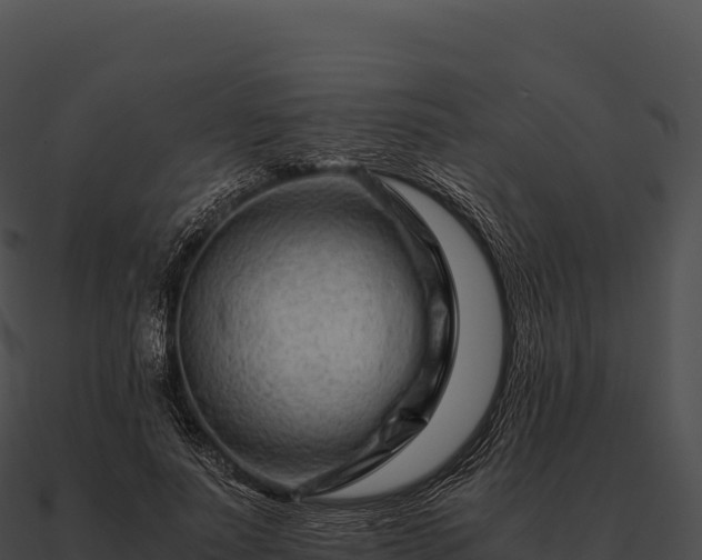 X0000090880691200708031031