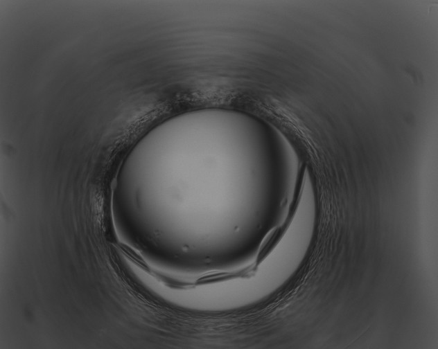X0000090880693200708031031