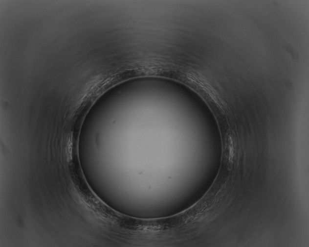 X0000090880694200708031031