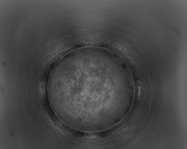 X0000090880695200708031031