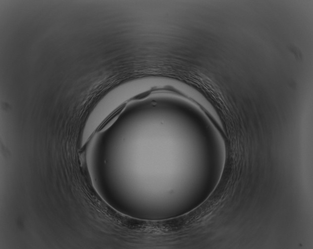 X0000090880697200708031031