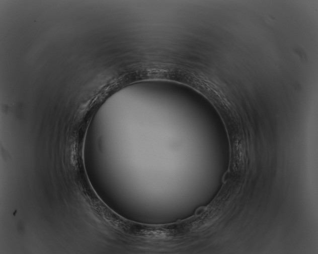 X0000090880698200708031031