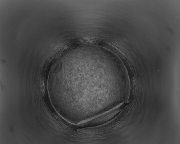 X0000090880699200708031031