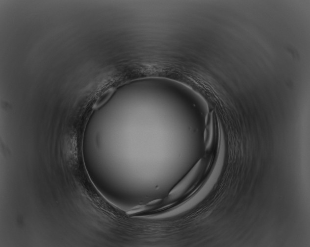 X0000090880700200708031031