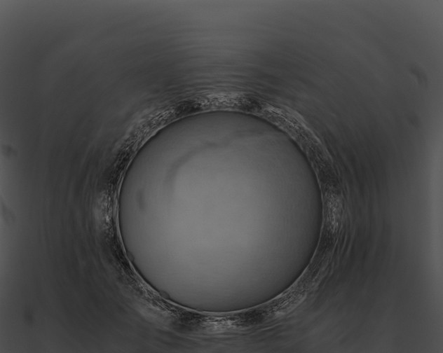 X0000090880701200708031031