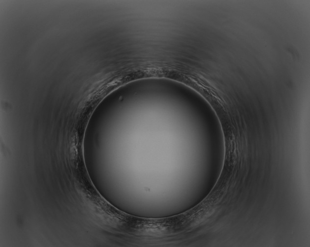 X0000090880702200708031031
