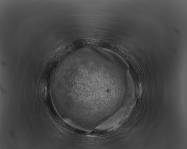 X0000090880703200708031031