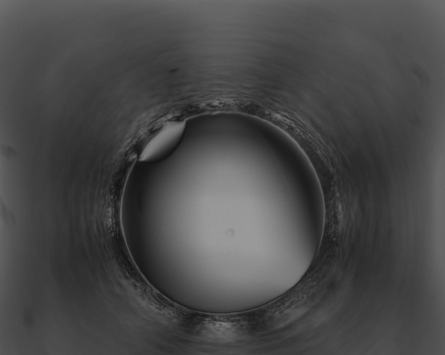 X0000090880706200708031031