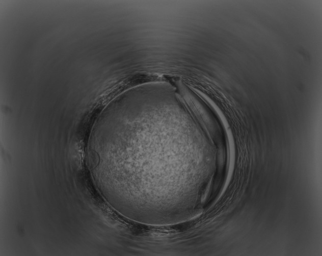 X0000090880707200708031031