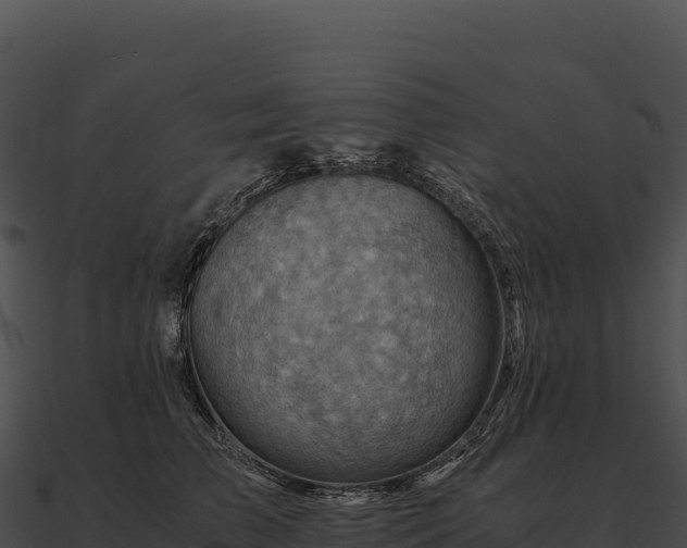 X0000090880709200708031031