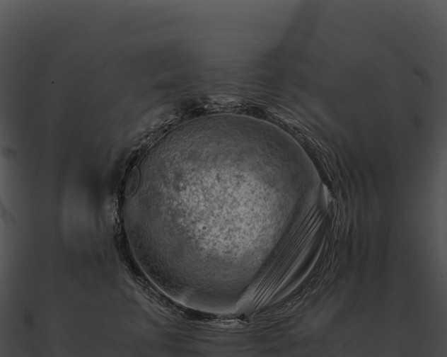 X0000090880711200708031031