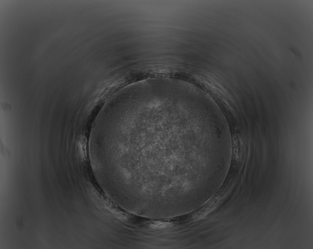 X0000090880718200708031031