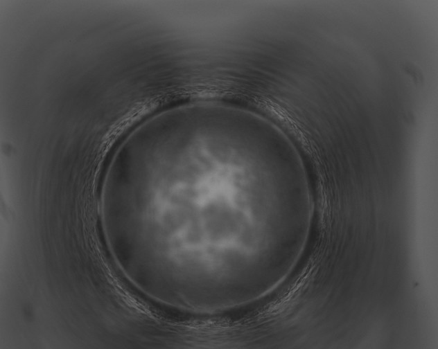 X0000090880721200708031030