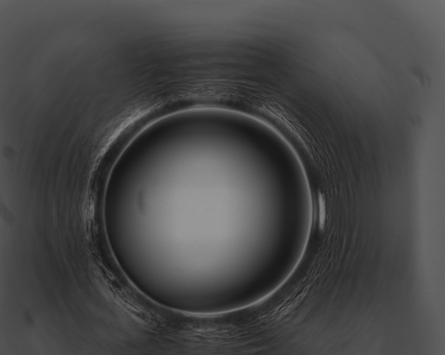 X0000090880723200708031030