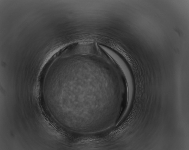 X0000090880724200708031030