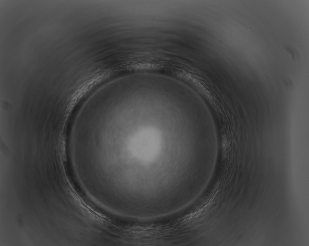 X0000090880725200708031030