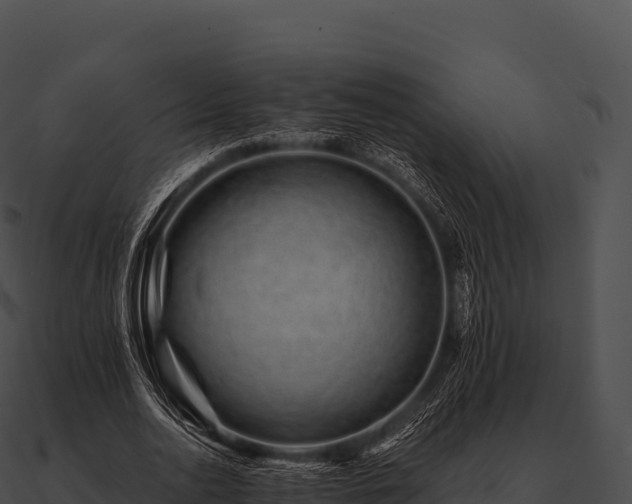 X0000090880726200708031030