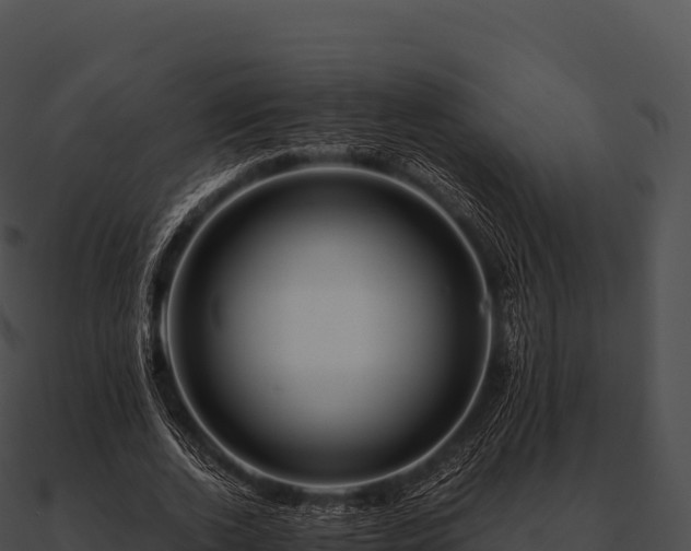 X0000090880728200708031030