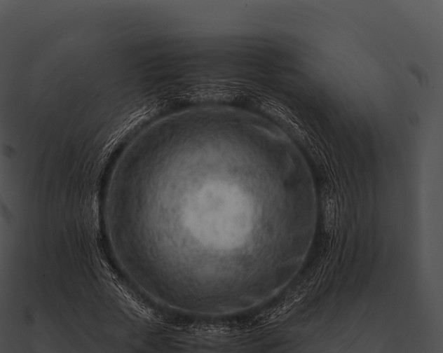 X0000090880729200708031030