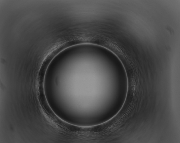 X0000090880730200708031030