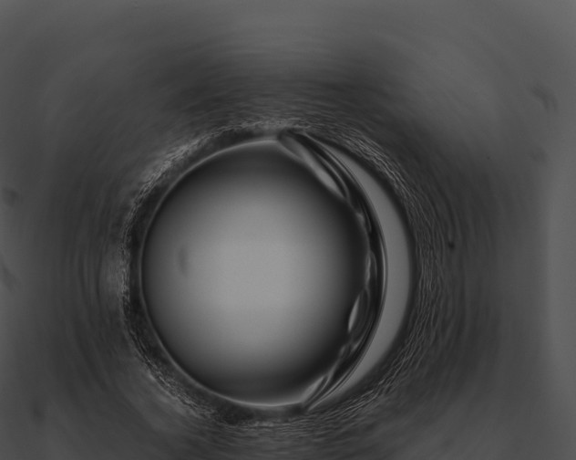 X0000090880732200708031030