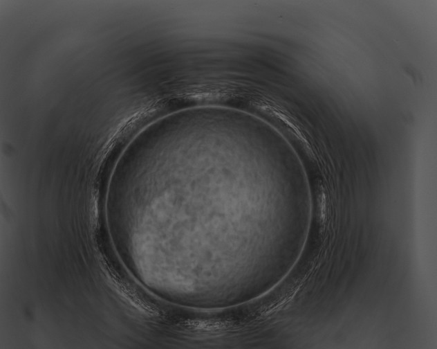 X0000090880733200708031030