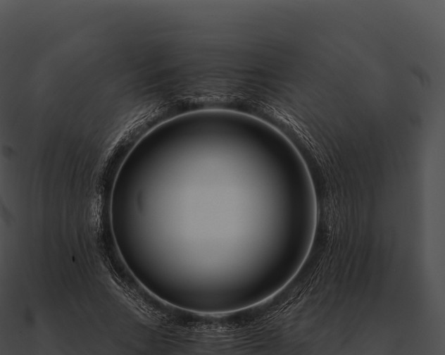 X0000090880735200708031030