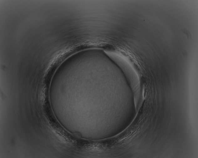 X0000090880736200708031030