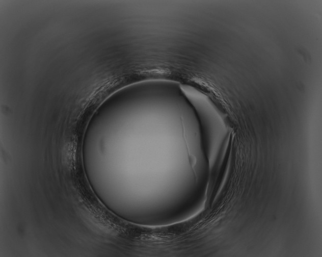 X0000090880739200708031030