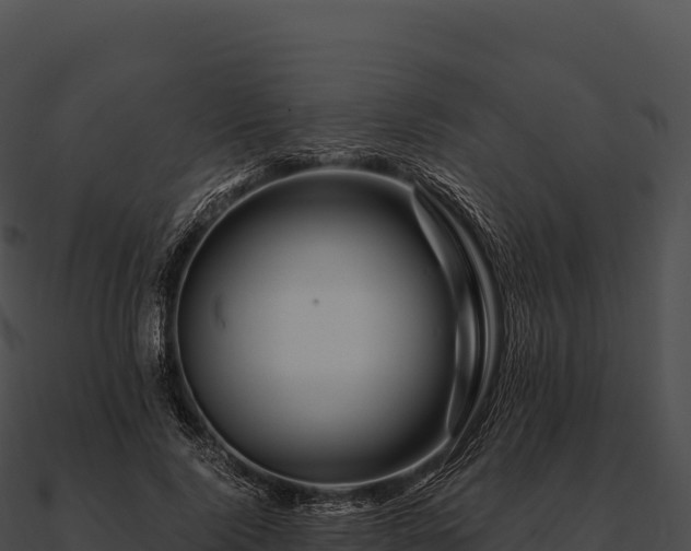 X0000090880740200708031030