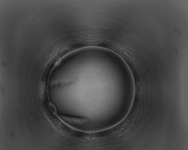 X0000090880742200708031030