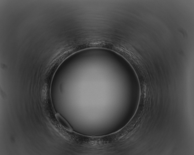 X0000090880744200708031031