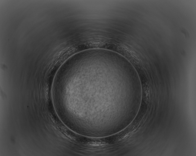 X0000090880745200708031031