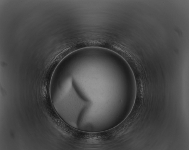 X0000090880746200708031031