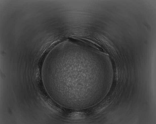 X0000090880748200708031031