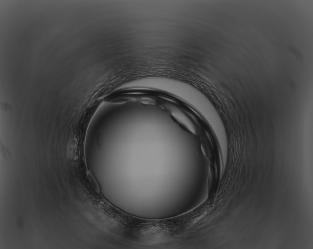 X0000090880750200708031031