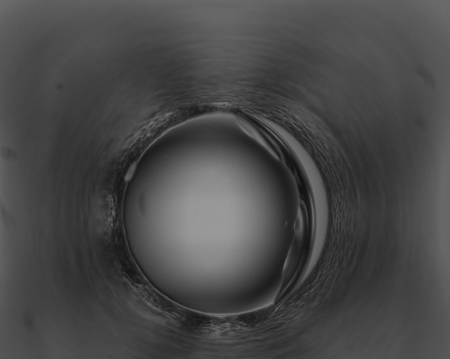 X0000090880752200708031031