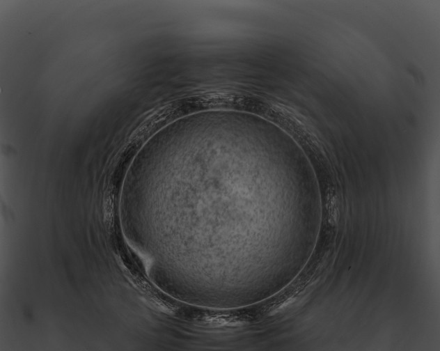 X0000090880753200708031031