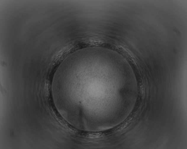 X0000090880757200708031031