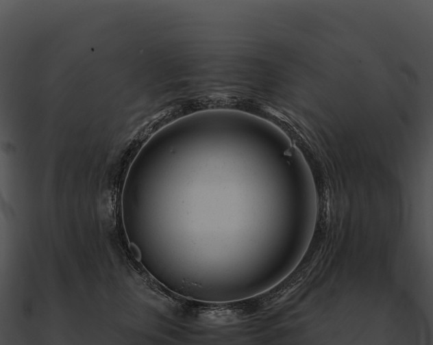 X0000090880759200708031031