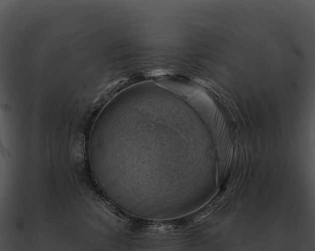 X0000090880760200708031031