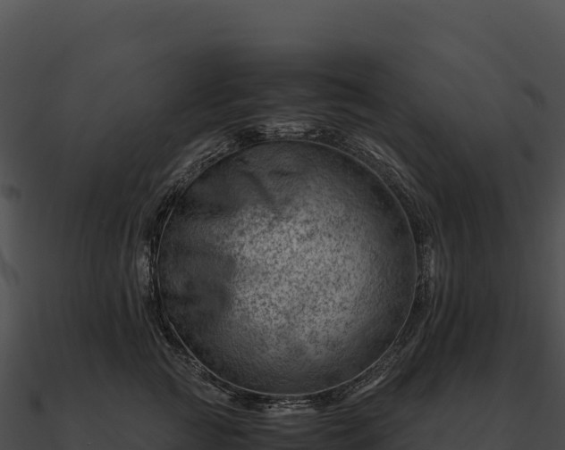X0000090880761200708031031