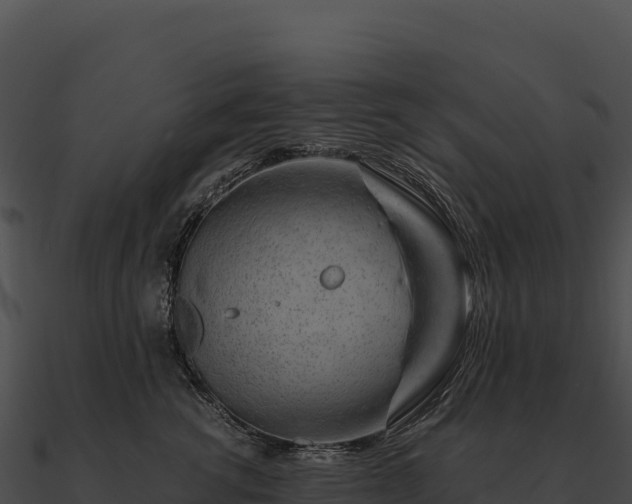 X0000090880762200708031031