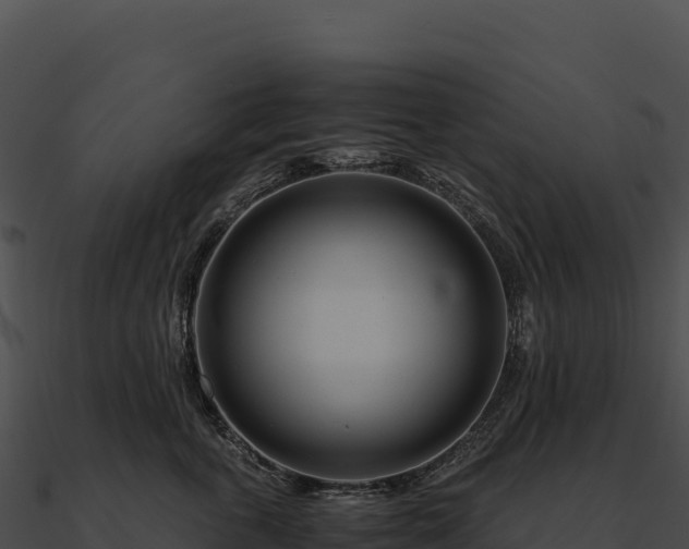 X0000090880763200708031031