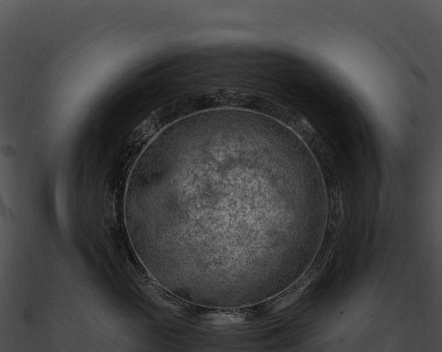 X0000090880765200708031031