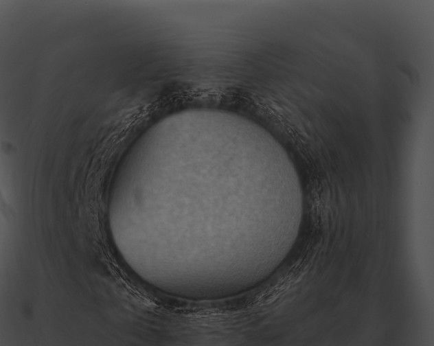 X0000090880769200708031030