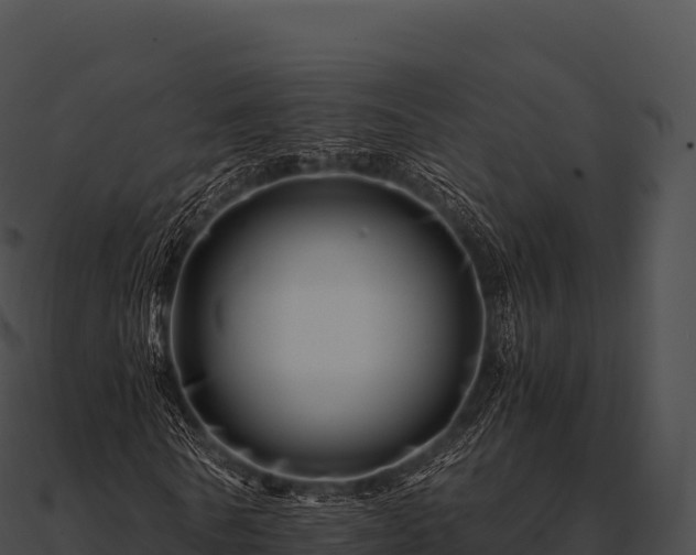 X0000090880770200708031030